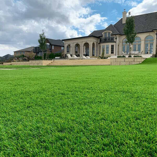 AGL Majestic 70 Artificial Turf